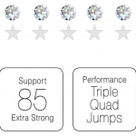 caratteristiche_concerto-300x280